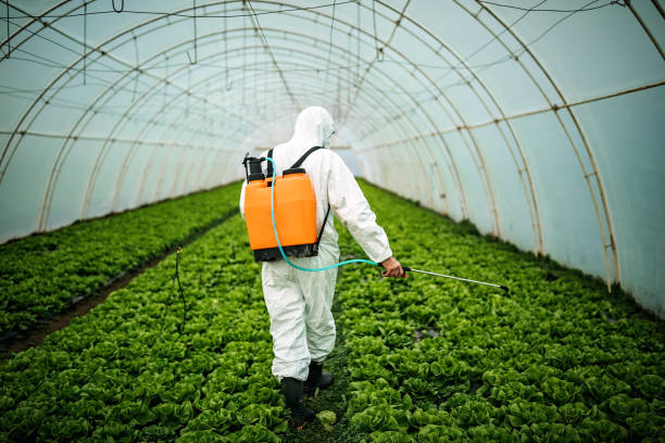 Best Best Pest Control Companies  in Thruston, KY