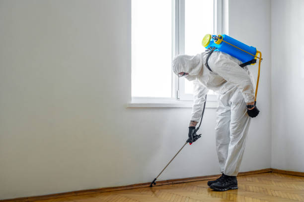 Best Best Pest Control Companies  in Thruston, KY
