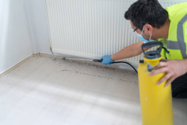 Best Bed Bug Extermination  in Thruston, KY