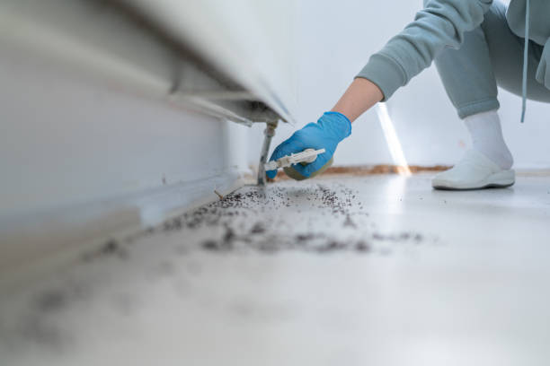 Best Wildlife Control Services  in Thruston, KY