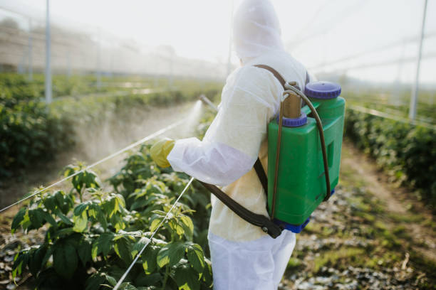 Best Affordable Pest Control Services  in Thruston, KY